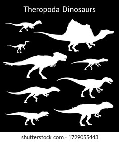Silhouettes of theropoda dinosaurs. Set. Side view. Monochrome vector illustration of white silhouettes of dinosaurs isolated on black background. Theropods. Proportional dimensions.