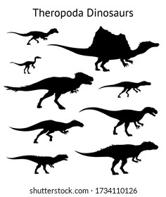 Silhouettes of theropoda dinosaurs. Set. Side view. Monochrome vector illustration of black silhouettes of dinosaurs isolated on white background. Theropods. Proportional dimensions.