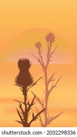 Silhouettes of thistle grass bushes on the background of sunset, sunset landscape