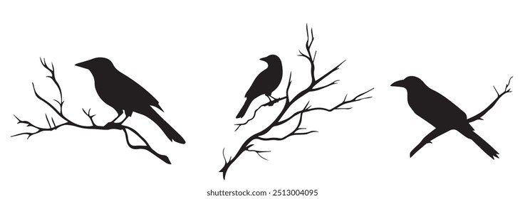 Silhouettes of three crows perched on bare branches in minimalist design against a white background