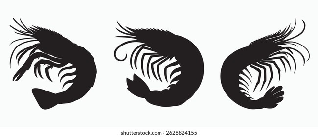 Silhouettes of three curled shrimp with detailed antennae and legs, isolated on a white background, ideal for seafood, culinary, or marine design themes.