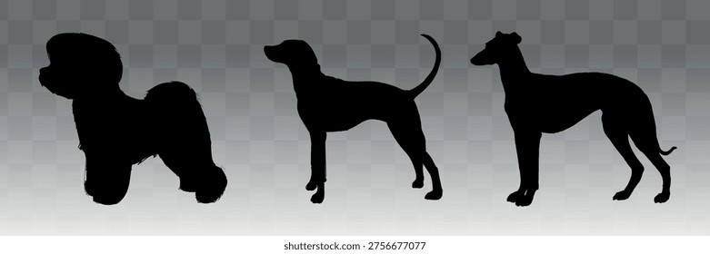 Silhouettes of three different dog breeds against a gradient background. The dogs vary in size and shape, showcasing diverse canine profiles. Vector set.