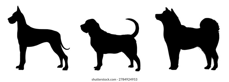 Silhouettes of three different dog breeds in profile view. The first is tall and slender, the second is medium-sized, and the third is fluffy with a curled tail. Vector set.