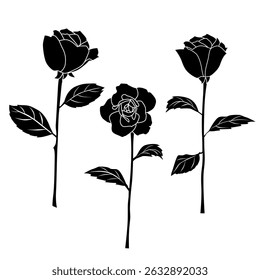 Silhouettes three flowers roses, spring and summer  garden flower, hand draw, linear sketch,  black color isolated on white background