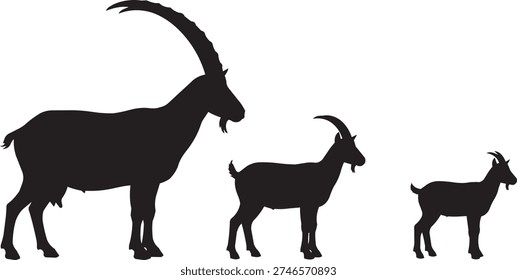 Silhouettes of three goats, including a large ibex with impressive horns, showcasing different sizes and poses