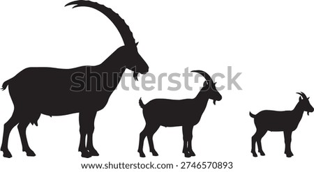 Silhouettes of three goats, including a large ibex with impressive horns, showcasing different sizes and poses
