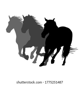 Silhouettes of three horses running