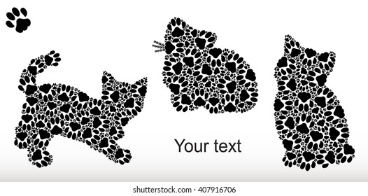 Silhouettes of three kittens from the cat's tracks