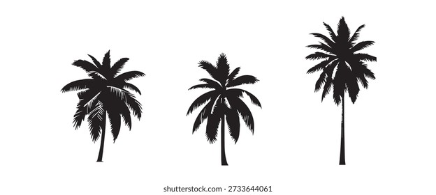 Siluetas de tres palmeras, mostrando un exuberante follaje tropical. Ideal para viajes, vacaciones y temas exóticos del paraíso.