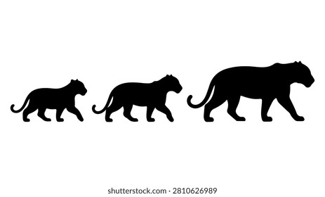 Silhouettes of three tigers in different sizes walking in a line, showcasing their majestic and powerful presence in a natural setting.