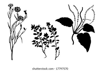 Silhouetten der Holzpflanzen auf weißem Hintergrund
