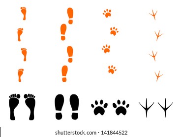 Silhouettes Of Traces Feet, Shoe, Animal And Bird On A White Background.