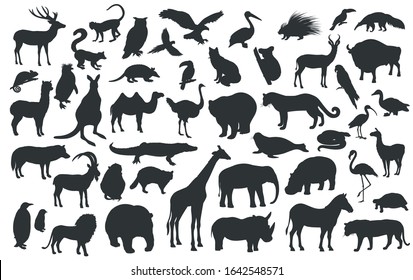 Silhouettes of traditional animals zoo. Bear, giraffe, panda, tiger, lion, camel and other wild animals and birds. Vector illustration.