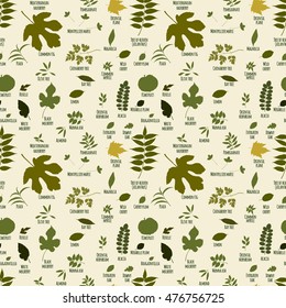 Silhouettes of tree leaves (mulberry, mirabelle, bougainvillea, hornbeam, pomegranate, oak,  boxwood, bay, myrtle, olive, peach, plane, kiwi). Vector botanical illustration.