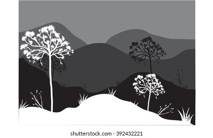 Silhouettes of tree on the mountain