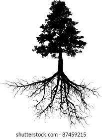 Silhouettes of tree with its roots