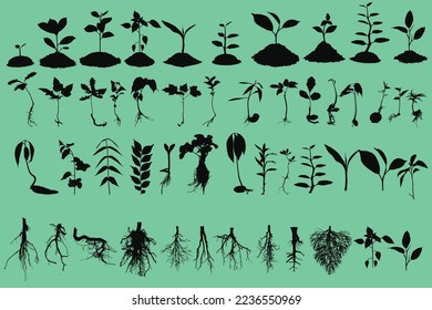 silhouettes of tree seeds and roots vector set bundle