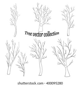 silhouettes of tree trunks with fancy branches