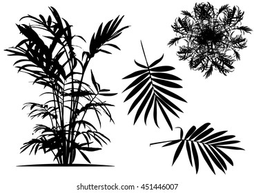 silhouettes of trees