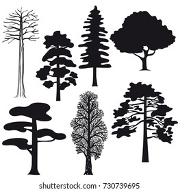 Silhouettes of trees.