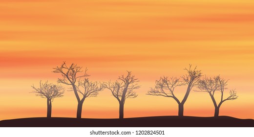 Silhouettes of trees against a bright sunset, vector illustration, EPS10