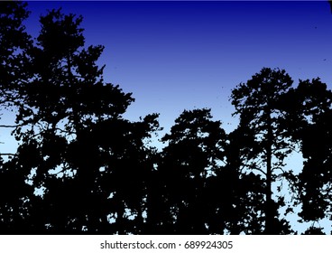 Silhouettes of trees against the sunset background