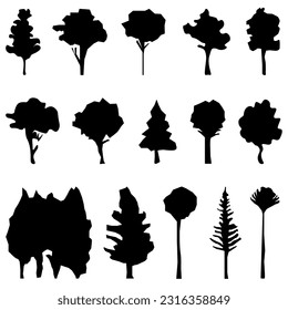 silhouettes of trees bushes, spruce, palm.