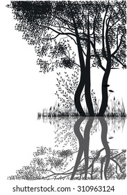 silhouettes of trees by the lake