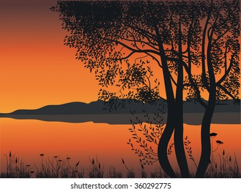 silhouettes of trees by the lake. Vector illustration