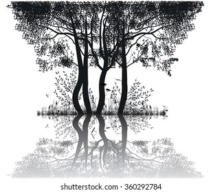 silhouettes of trees by the lake. Vector illustration