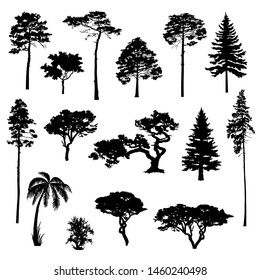 Silhouettes of the trees for design. Vector elements for landscape, background, banner, web-design, coniferous forest.