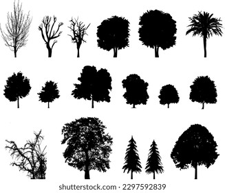 Silhouettes: Trees, fir, palm - nature and forests