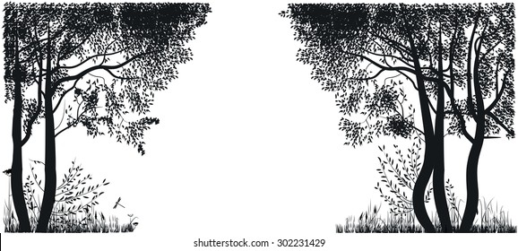 Silhouettes of trees in a forest glade