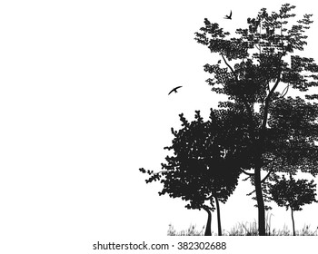 Silhouettes of trees in a forest glade. Vector black and white illustration