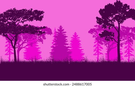 Silhouettes of trees in the forest at night