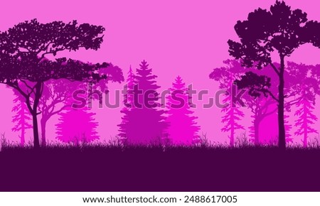 Silhouettes of trees in the forest at night