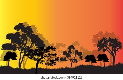 Silhouettes of trees in garden