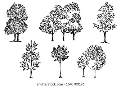 Silhouettes of trees, garden crops, park, black and white vector illustration. isolated on white. Pollution, wood resources, plant type theme details illustration. Park or forest territory planning.