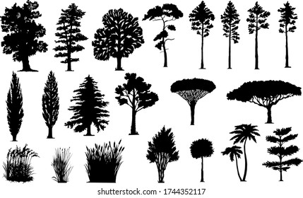 Silhouettes Trees Grass Stock Vector (Royalty Free) 1744352117 ...