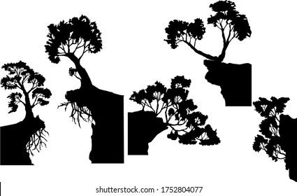 
silhouettes of trees growing on the rocks