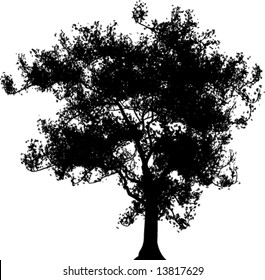 Silhouettes of trees isolated on a white background