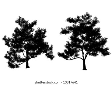 Silhouettes of trees isolated on a white background