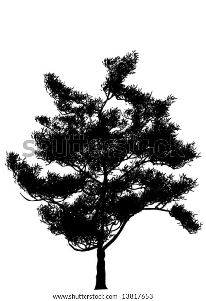 Silhouettes Trees Isolated On White Background Stock Vector (royalty 