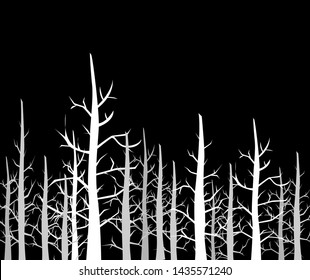 silhouettes of trees on black background. Vector illustration of the forest.