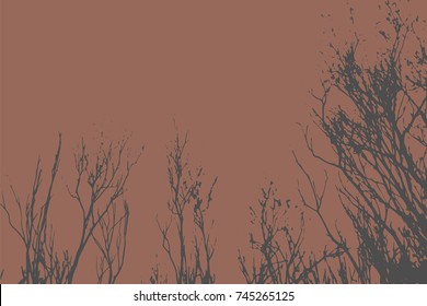 Silhouettes of Trees on dark background. Tree Pattern. Vector illustration