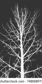Silhouettes of Trees on subtle background. Tree Pattern. Vector illustration