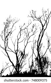 Silhouettes of Trees on subtle background. Tree Pattern. Vector illustration