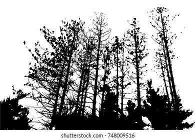 Silhouettes of Trees on subtle background. Tree Pattern. Vector illustration