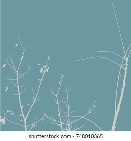 Silhouettes of Trees on subtle background. Tree Pattern. Vector illustration