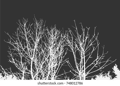 Silhouettes of Trees on subtle background. Tree Pattern. Vector illustration